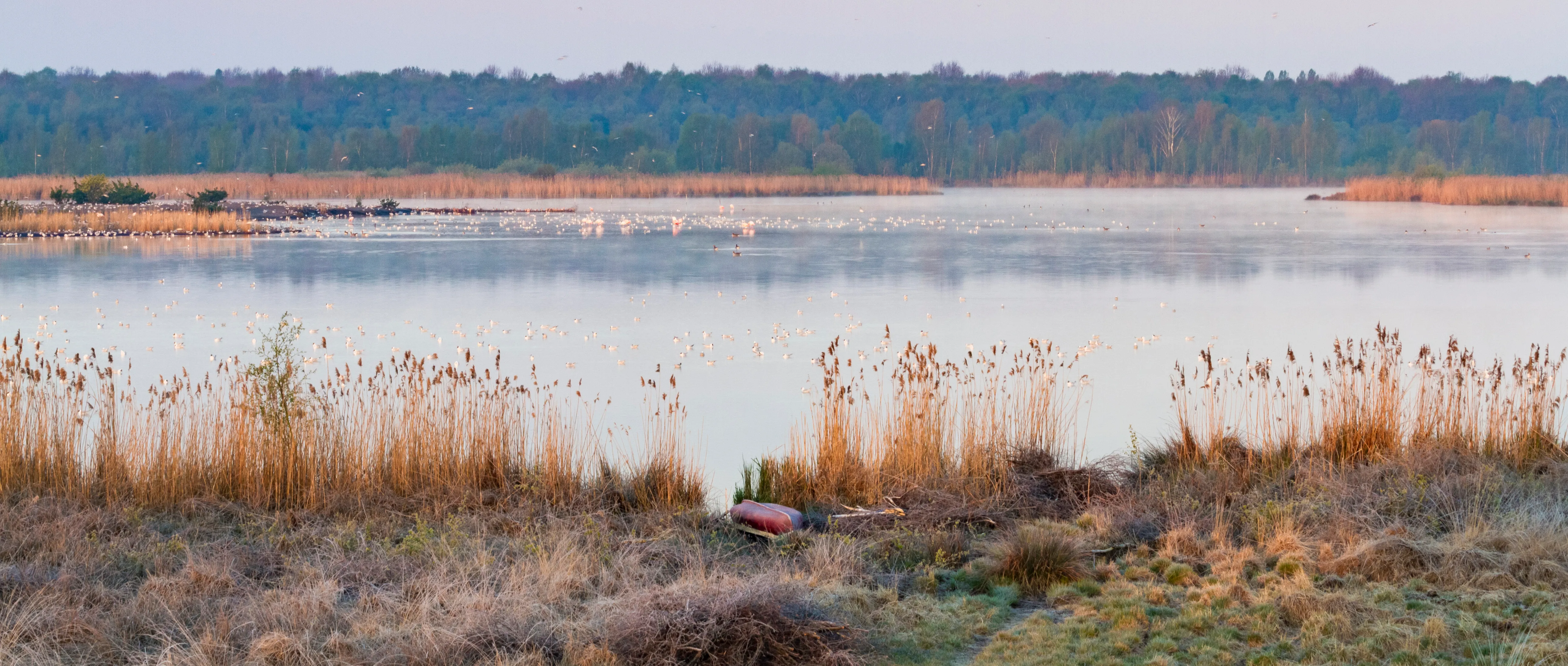 Landschapsfotografie